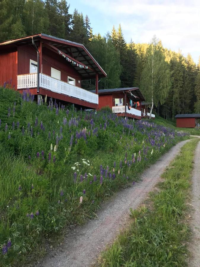 Utsiktens turistgård Järkvitsle Eksteriør bilde
